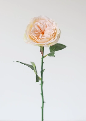 Artificial English Cabbage Rose in Pastel Peach Pink - 20.5" Tall