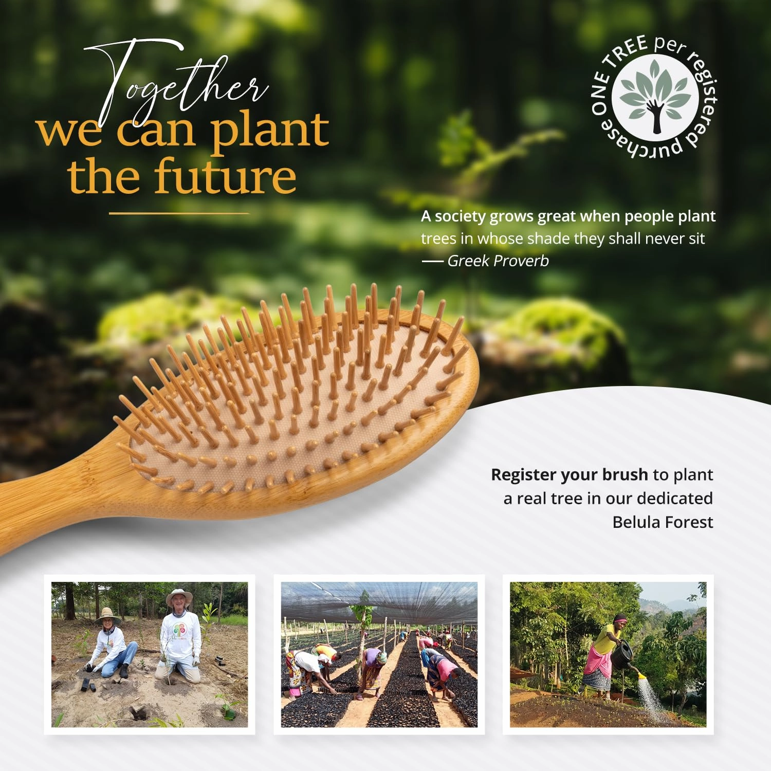 Bamboo Brush for Hair Growth - Natural Bamboo Hair Brush Set for Women, Men & Kids