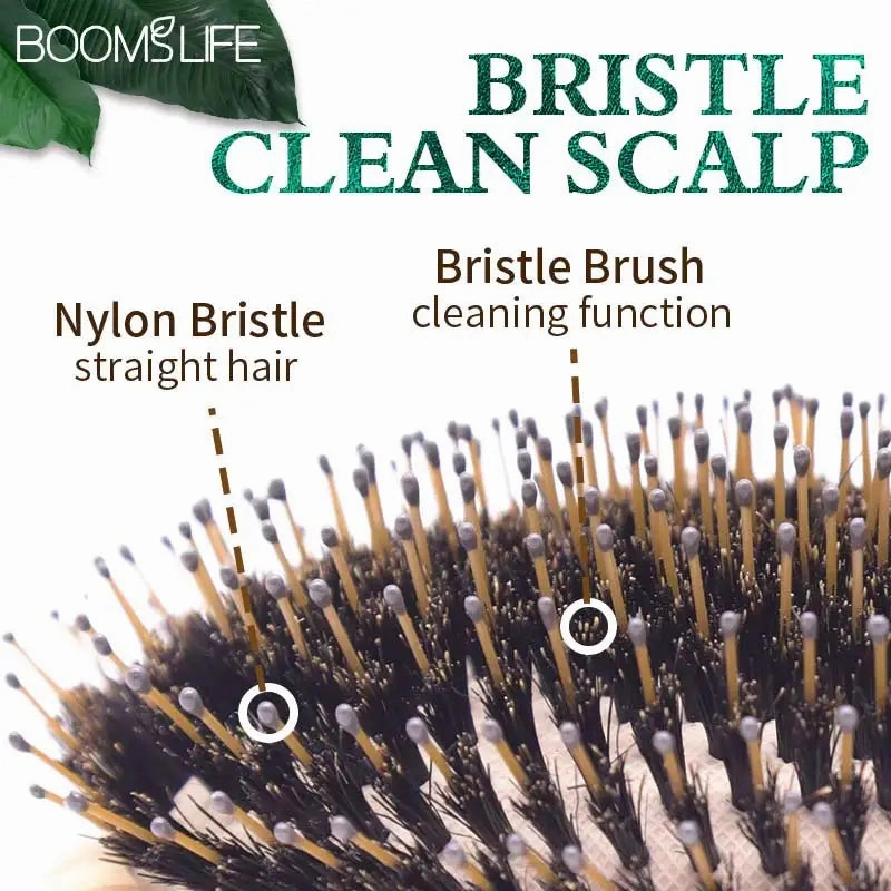 Boar Bristle Hair Brush Women Wood Bamboo HairBrush Professional Curly Airbag