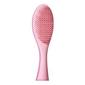 Everyday Styling Hairbrush 1pc | Anti-Damage Silicone Bristles | | Use Wet or Dry | Anti-Static | Stand Up Design