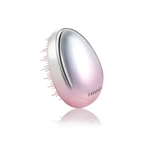Infinigrowth Detangler Mini Hair Brush - Travel Hair Brush for Detangling, Mini Hairbrush for All Hair Types - Portable Travel Brush for Women, Compact & Mini Brush for Purse - Pink & Silver