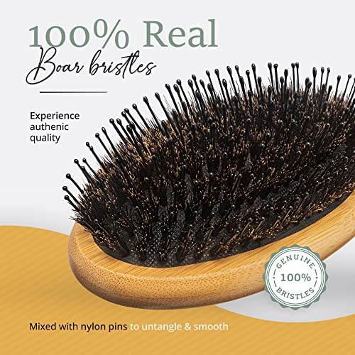 Premium Boar Bristle Hairbrush for Thick Hair for Women with Thick, Long, Curly Hair