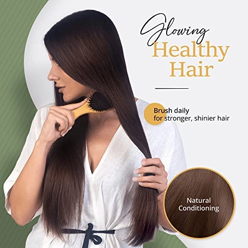 Premium Boar Bristle Hairbrush for Thick Hair for Women with Thick, Long, Curly Hair