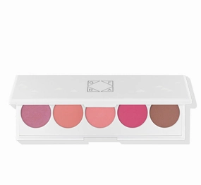 SIGNATURE PALETTE - BLUSH