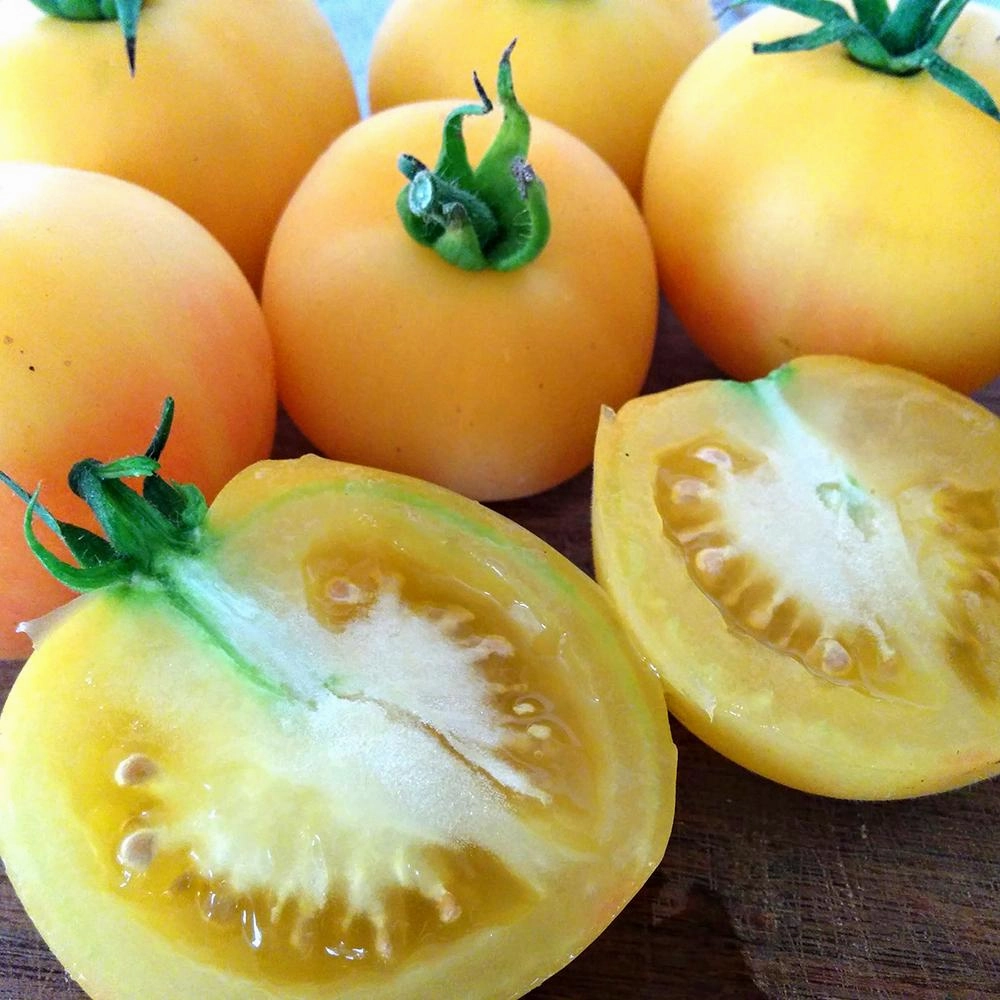 Slicing Tomato Seeds - Garden Peach