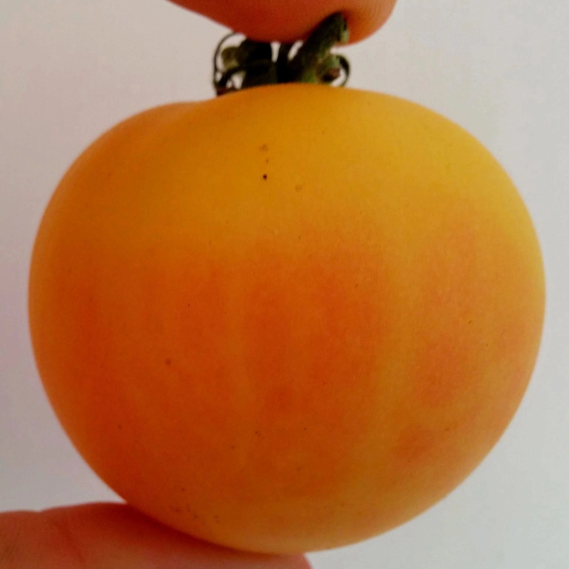Slicing Tomato Seeds - Garden Peach