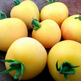 Slicing Tomato Seeds - Garden Peach