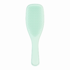 Tangle Teezer The Wet Detangler Hairbrush Fine & Fragile Mint