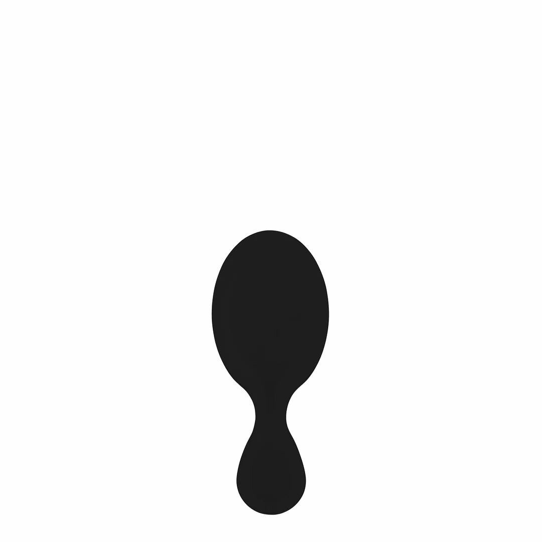 Wet Brush Mini Detangler Hair Brush - Black