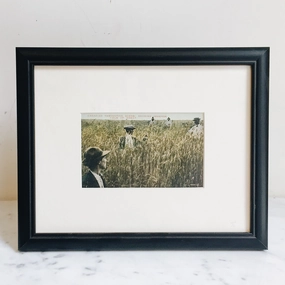 Winnipeg Wheat Antique Framed Print